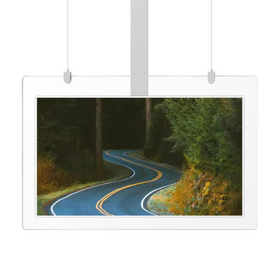 700 Nits Hanging Transparent LCD Screen 55inch OLED Double Sided Digital Display