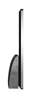 Adkiosk 55Inch Wall Mounted Digital Signage Industrial 240V Electronic Signage Display
