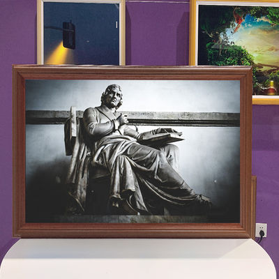 CCC 49in Wall Mounted Digital Signage 350cd/m2 Picture Frame Advertising Machine